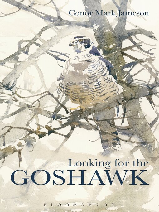 Title details for Looking for the Goshawk by Conor Mark Jameson - Available